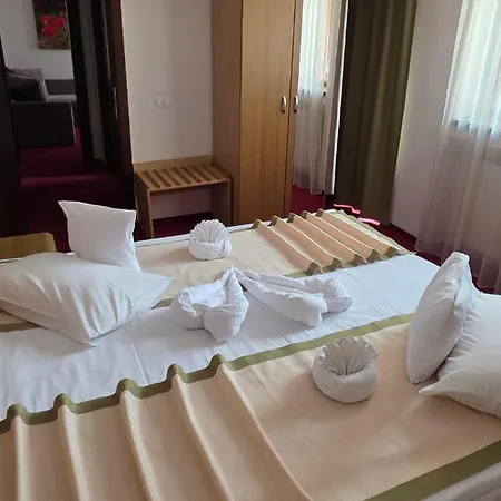 Carpați Hotel 3*